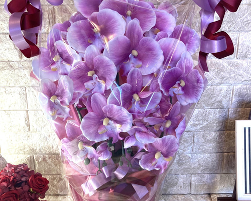 光触媒 人工観葉植物 ウォールグリーン フェイク フラワー 胡蝶蘭6142