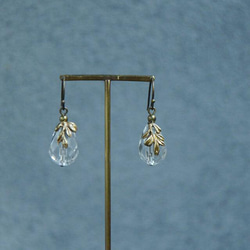 Fruit / earrings - Crystal 1枚目の画像