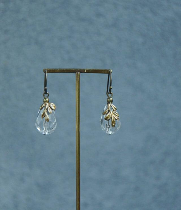 Fruit / earrings - Crystal 1枚目の画像