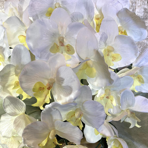 光触媒　人工観葉植物　ウォールグリーン　フェイク　フラワー　胡蝶蘭6340 光触媒 人工観葉植物 ウォールグリーン フェイク フラワー 胡蝶