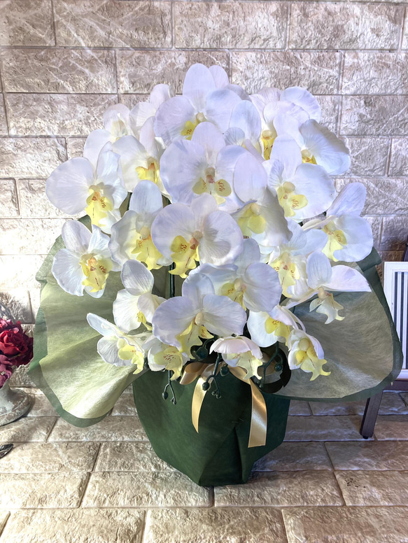 光触媒　人工観葉植物　ウォールグリーン　フェイクグリーン　胡蝶蘭6340 光触媒 人工観葉植物 ウォールグリーン フェイク フラワー 胡蝶蘭6340