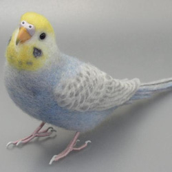 [Ｒ様専用] セキセイインコ パステルレインボー バイオレット / 羊毛フェルト リアルサイズ 2枚目の画像