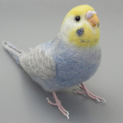 [Ｒ様専用] セキセイインコ パステルレインボー バイオレット / 羊毛フェルト リアルサイズ 6枚目の画像