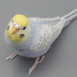 [Ｒ様専用] セキセイインコ パステルレインボー バイオレット / 羊毛フェルト リアルサイズ 4枚目の画像