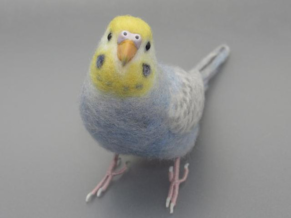 [Ｒ様専用] セキセイインコ パステルレインボー バイオレット / 羊毛フェルト リアルサイズ 5枚目の画像