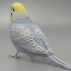 [Ｒ様専用] セキセイインコ パステルレインボー バイオレット / 羊毛フェルト リアルサイズ 3枚目の画像