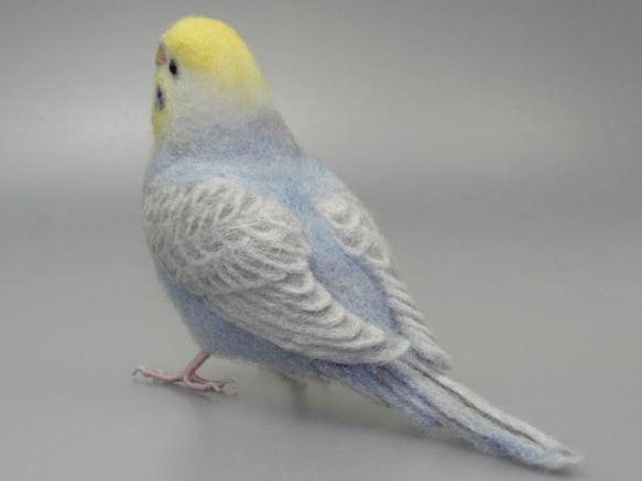 [Ｒ様専用] セキセイインコ パステルレインボー バイオレット / 羊毛フェルト リアルサイズ 3枚目の画像