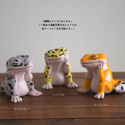 [定制] Utou Leopa Max Snow 第3張的照片