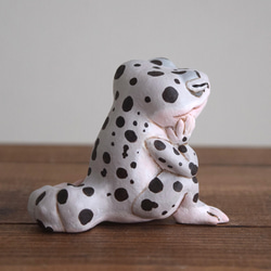 [定制] Utou Leopa Max Snow 第9張的照片