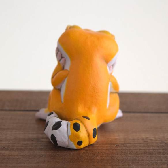 打盹的Leopa橘子 第12張的照片