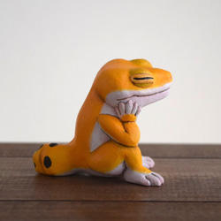 打盹的Leopa橘子 第9張的照片