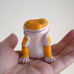 打盹的Leopa橘子 第2張的照片