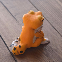 打盹的Leopa橘子 第10張的照片