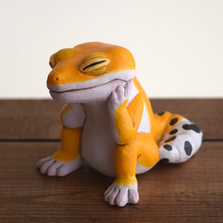 打盹的Leopa橘子 第7張的照片