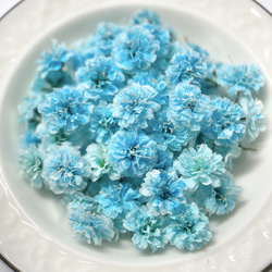 かすみ草　Dブルー　ドライフラワー 　染め　花材　DIY　水色　ブルー　濃色 2枚目の画像