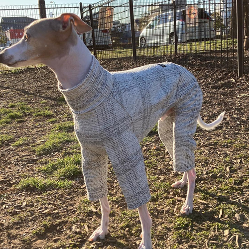チェック柄のロンパース イタグレ服 犬服 ハンドメイド