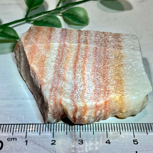 希少】肉石 肉形石 奇石 ポークストーン 方解石 その他置物 東洋占星術