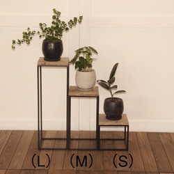 プランタースタンド（L）鉢スタンド　アイアン家具　アイアン什器　植物　古材　観葉植物 9枚目の画像