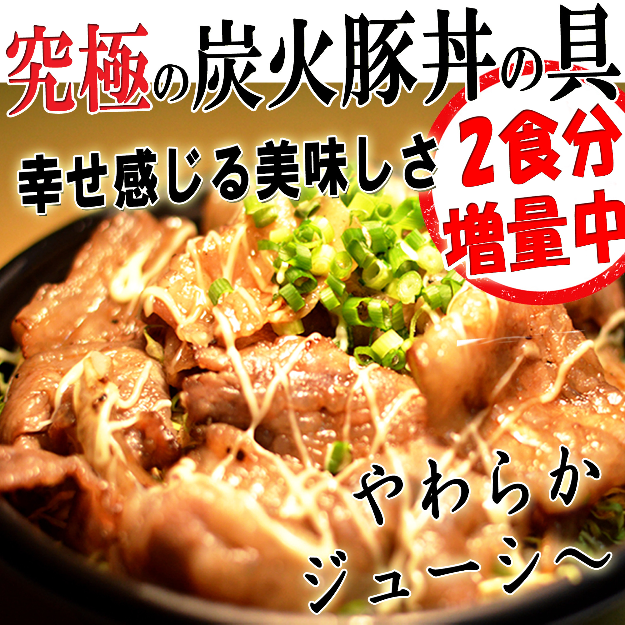 ⭐究極の炭火豚丼の具【ぎゃん丼】20食＋2食プレゼント中！【無添加冷凍食品】