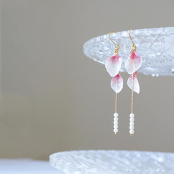 揺れる桜jewelryピアス/イヤリング 4枚目の画像