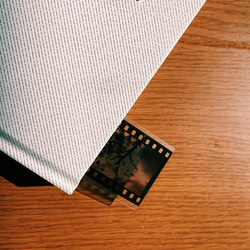 35mm　ポジフィルム風クリアブックマーカー　　桜　４枚セット 4枚目の画像