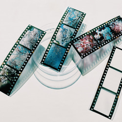 35mm　ポジフィルム風クリアブックマーカー　　桜　４枚セット 1枚目の画像