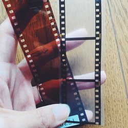 35mm　ポジフィルム風クリアブックマーカー　　桜　４枚セット 6枚目の画像