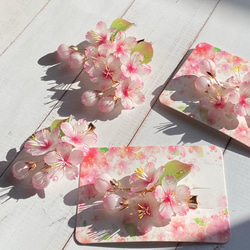 ソメイヨシノ桜のヘアクリップ 朝露付き 1枚目の画像