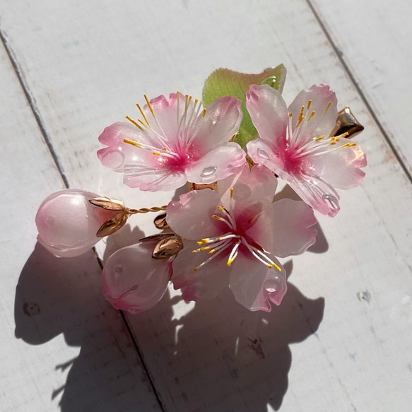 ソメイヨシノ桜のヘアクリップ 朝露付き 6枚目の画像
