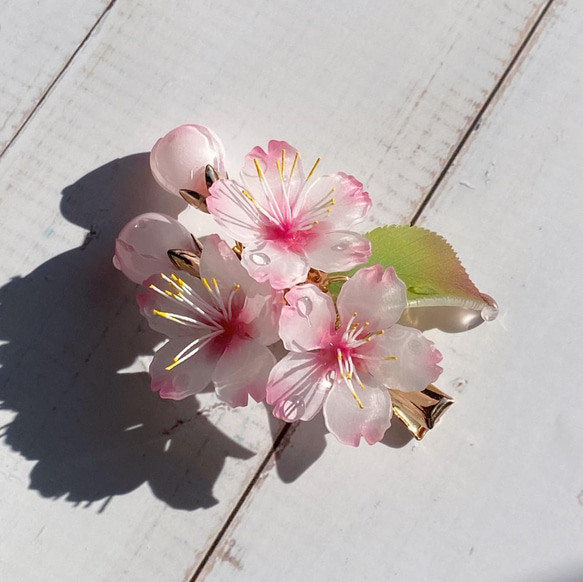 ソメイヨシノ桜のヘアクリップ 朝露付き 2枚目の画像