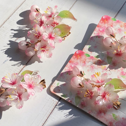 ソメイヨシノ桜のヘアクリップ 朝露付き 7枚目の画像