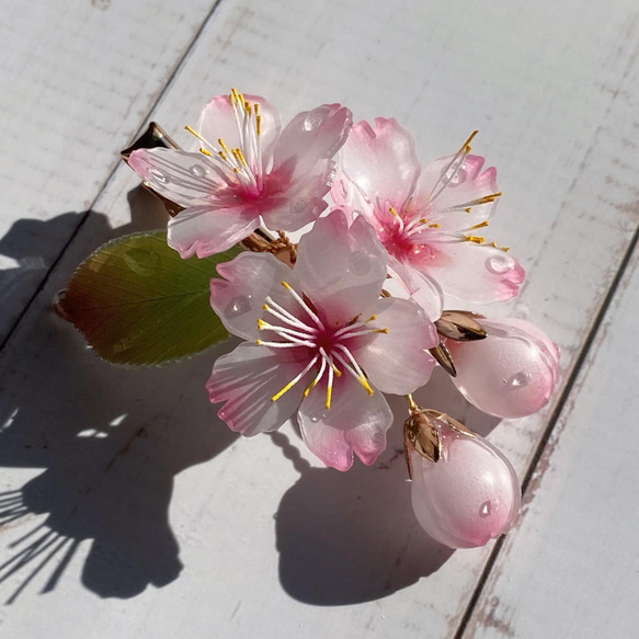 ソメイヨシノ桜のヘアクリップ 朝露付き 4枚目の画像