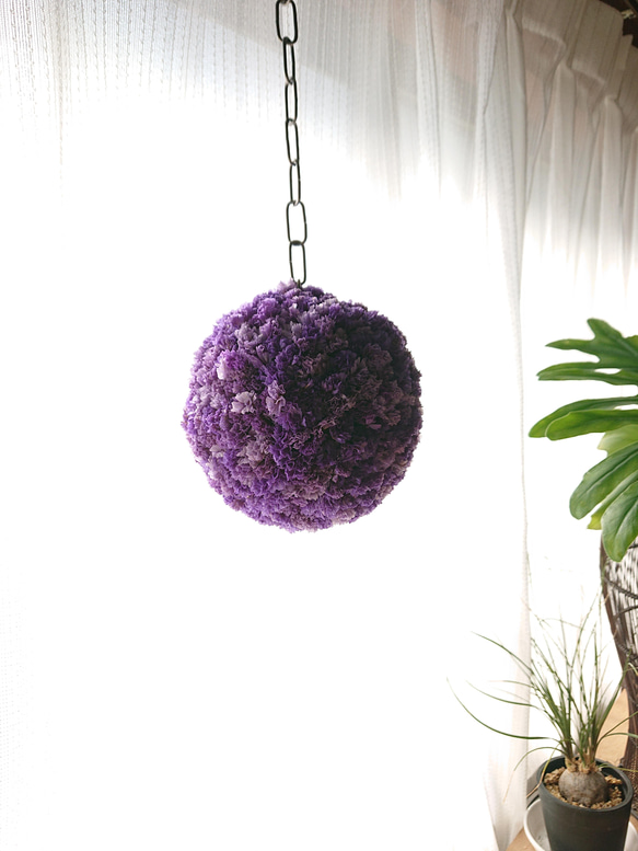 HBスターチスのフラワーボール ボールリース apricot