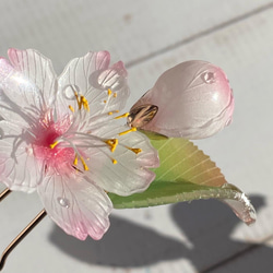 ソメイヨシノ桜のUピンかんざし 朝露付き リアルサイズの一輪 1枚目の画像