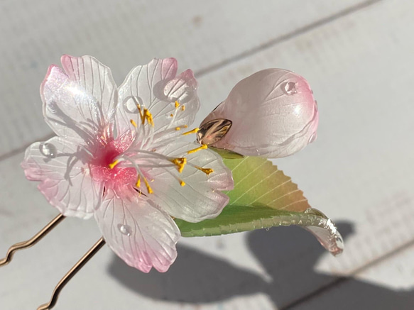 ソメイヨシノ桜のUピンかんざし 朝露付き リアルサイズの一輪 1枚目の画像