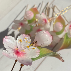 ソメイヨシノ桜のUピンかんざし 朝露付き リアルサイズの一輪 3枚目の画像