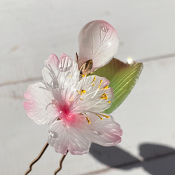 ソメイヨシノ桜のUピンかんざし 朝露付き リアルサイズの一輪 2枚目の画像