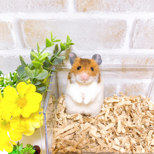 ②握手して♪ *ゴールデンノーマルハムスター* <羊毛フェルト