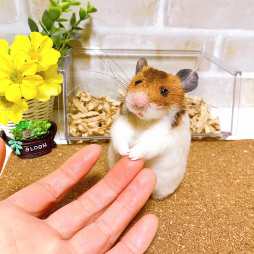 ②握手して♪ *ゴールデンノーマルハムスター* <羊毛フェルト