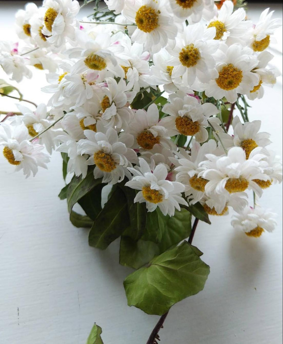 花かんざしのドライフラワー 1枚目の画像
