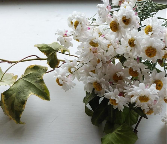 花かんざしのドライフラワー 3枚目の画像
