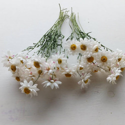 花かんざしのドライフラワー 6枚目の画像