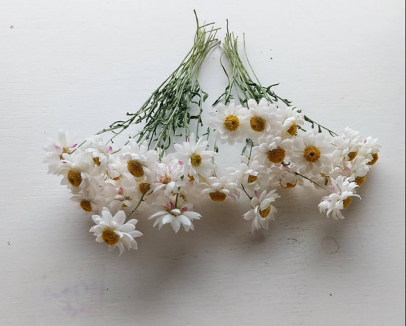 花かんざしのドライフラワー 6枚目の画像