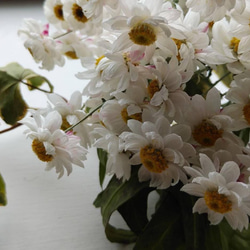 花かんざしのドライフラワー 4枚目の画像