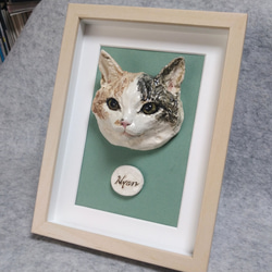 ウィンスタンレイキャット（ケンジントンキャット）サイズ6、大きな
