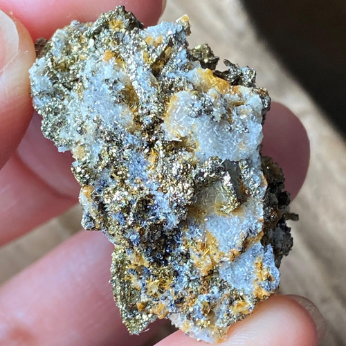 希少！キャルコパイライトクォーツ共生 原石 希少！キャルコパイライトクォーツ共生 原石 ドイツ Niederschlag mine