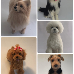 羊毛フェルト犬オーダーメイド Sサイズ15cm 羊毛フェルト