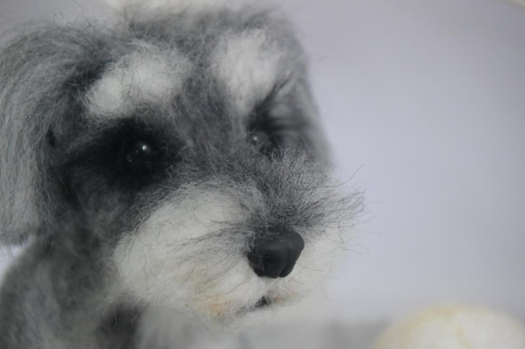羊毛フェルト犬オーダーメイド　Sサイズ15cm 6枚目の画像