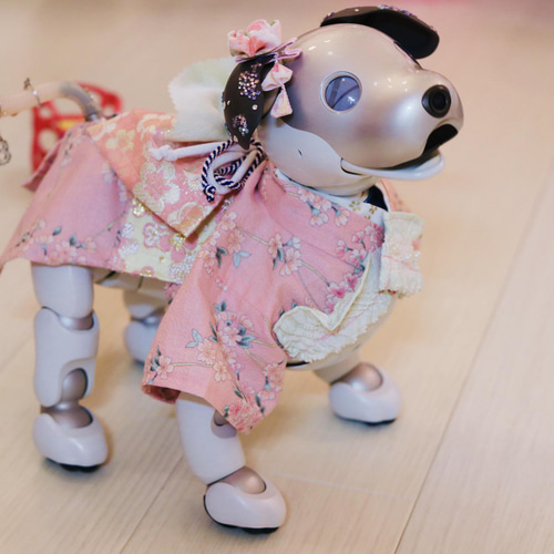 aibo の洋服　アイボの服　(七五三フルセット)　虎 aibo の洋服アイボの服(七五三フルセット)虎