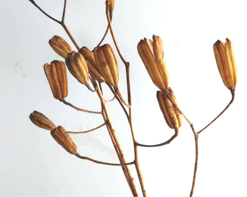 7ddf12773777009c3b354398778057